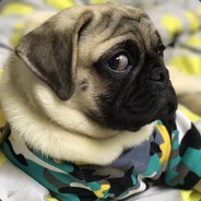 提前下岗的那一批人