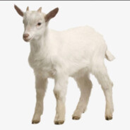 晚风吻尽荷花叶