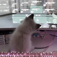 belphma - steam id 76561199810811732