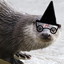 Harry Otter