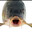 Russian Carp