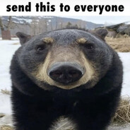 send this to everyone