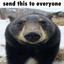 send this to everyone