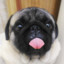 _Thiago_