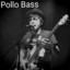 POLLOBASS