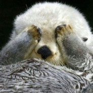 叽哩哇啦咕噜咕噜