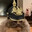 PremiumKatt