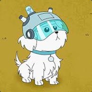 Bluson to kostrubczyk