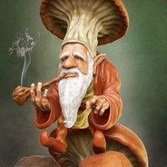 Гном 1-го ранга