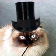 Gigi - steam id 76561199502694948