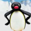 pingu2447