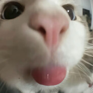 白开银春旧食添