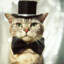 MR_KOTIC