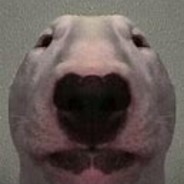 shumagaljeff (VAC 03.06.2020)