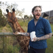 postmalone