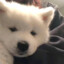 追风