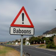 Roadsigns