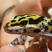 Barhat_99 - steam id 76561198082364673