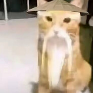 长篇大论皆为输者