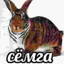 сёмга