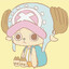 Mapache