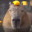 Capybara