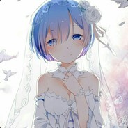 桜の散る時の雨 avatar