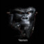 shishkin_nn | ЧюпепPEEK