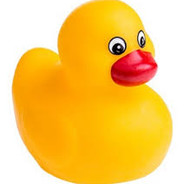 kaczorek CASEDROP.eu