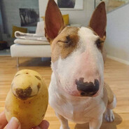 Пивная сиська