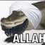 Gary the Guantanamo Gator