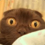 dr.octagon - steam id 76561197970983119