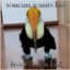 Toucan aka Le Jörklé&#039;r