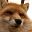 Ifox