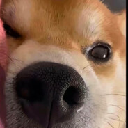 你也配拆我包？