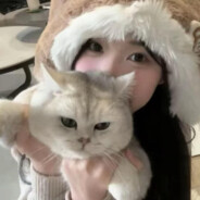 再见已是路边卡片