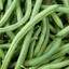 THE GREEN BEAN