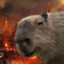 Super Capybara