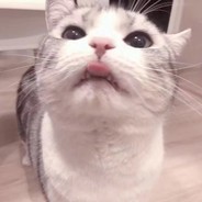 叔叔 你别拉了 我害怕