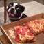 Cachorro da pizza