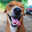 Juliano Mendoza