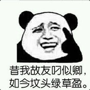 地球上最丑的猴子