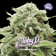 MOBYDIKS