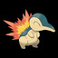 Cyndaquil
