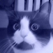 Wocha - steam id 76561197965121039