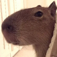 INWALIDA PEEK 27kubx27?