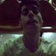 Thiago_klein