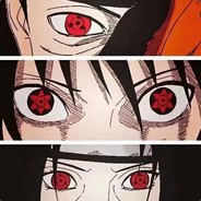 一个吃白菜的故事