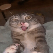 КИСИКИСИМЯУМЯУ