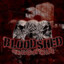 BLOODSHED